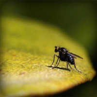 /album/lowcarbplan1/photolia-a07-jpg/